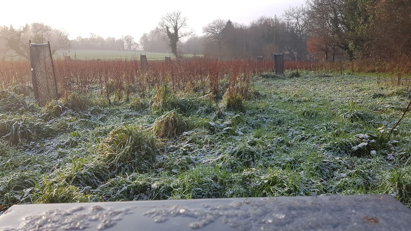 La ruche Artisan peintre DB decor