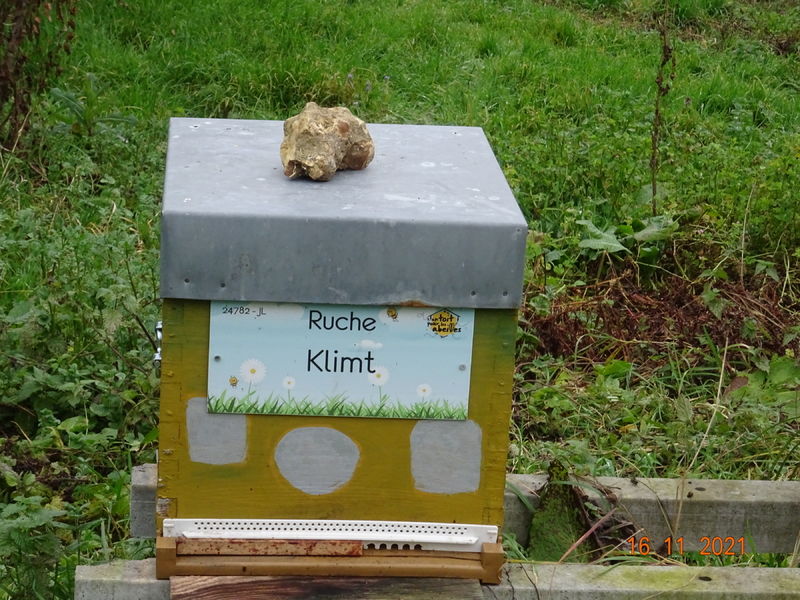 La ruche Klimt