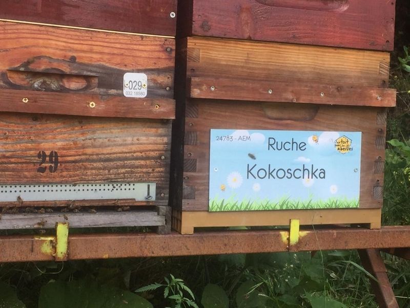La ruche