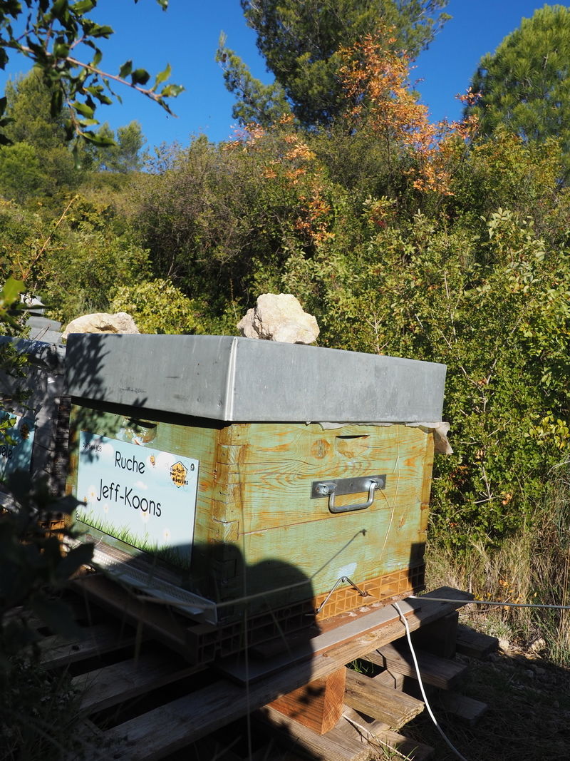La ruche Jeff-Koons