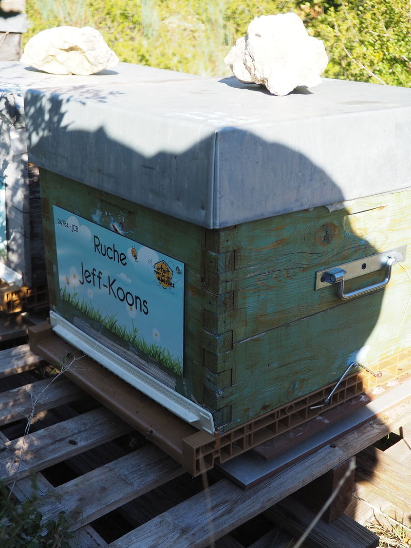 La ruche Jeff-Koons