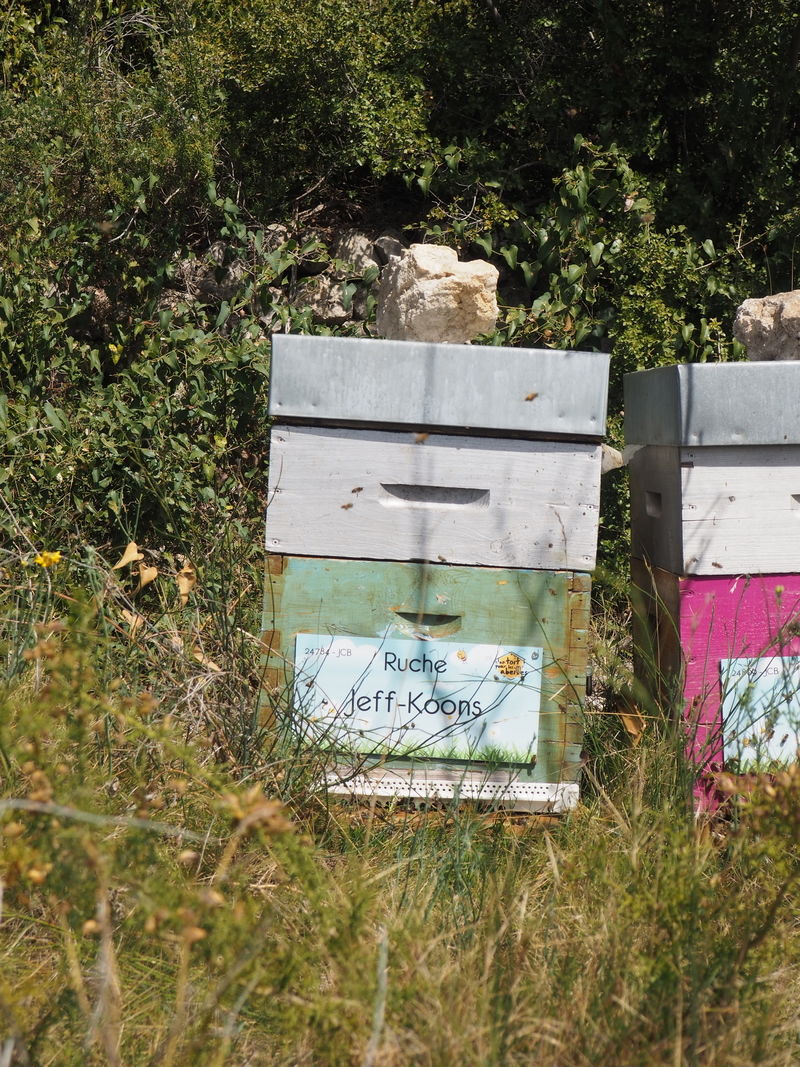 La ruche Jeff-Koons