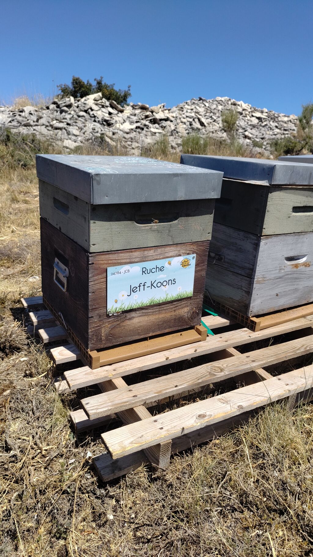 La ruche Jeff-Koons