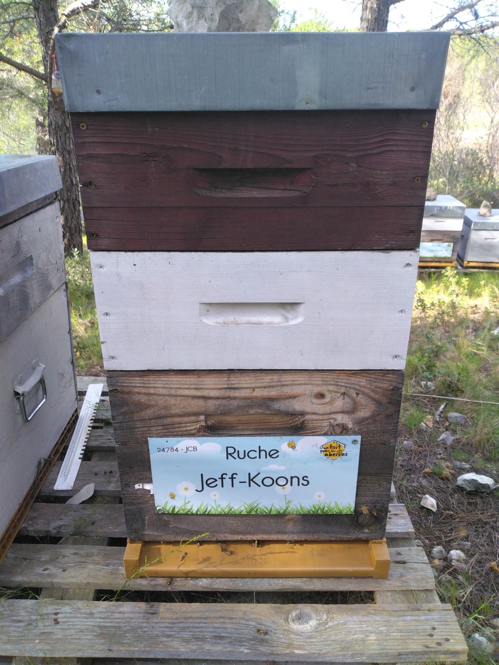 La ruche Jeff-Koons