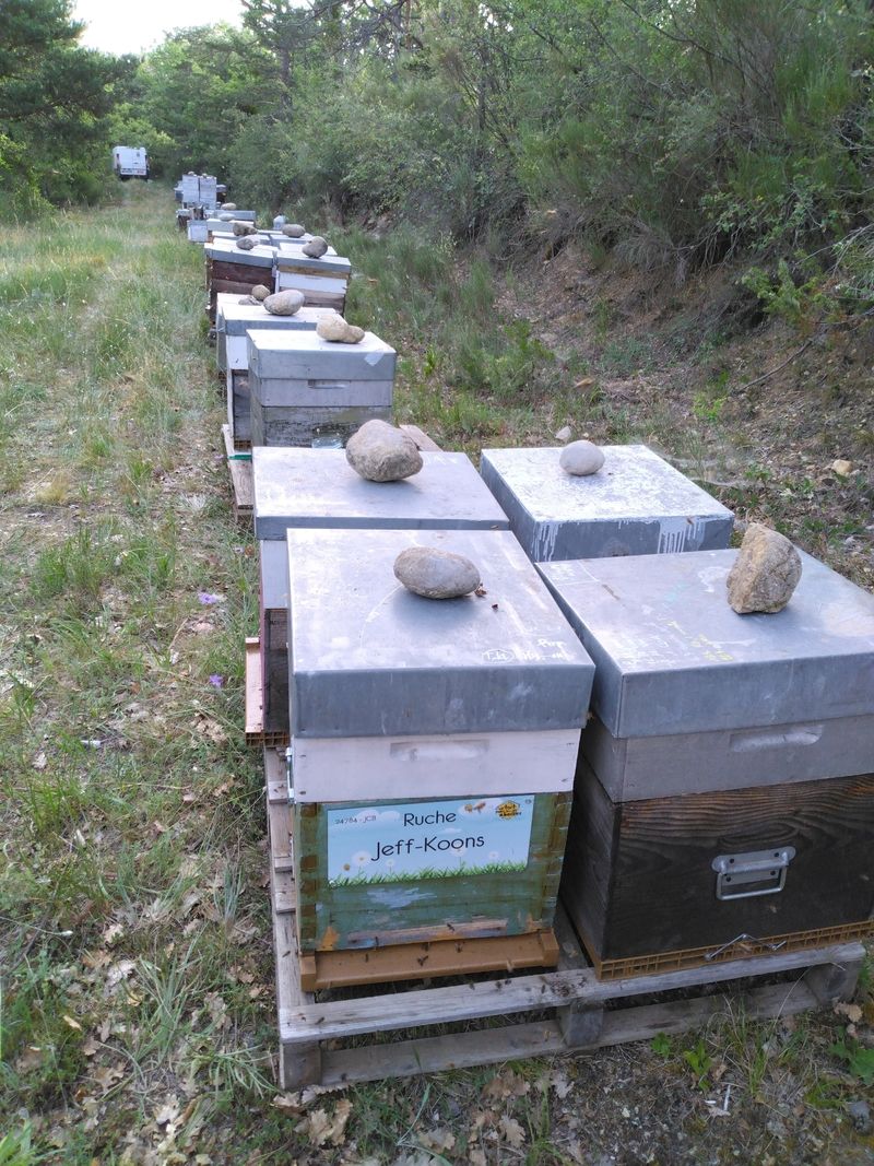 La ruche Jeff-Koons