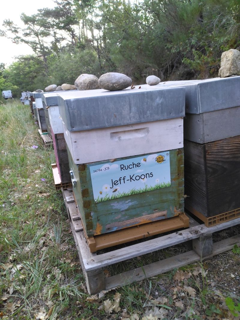 La ruche Jeff-Koons