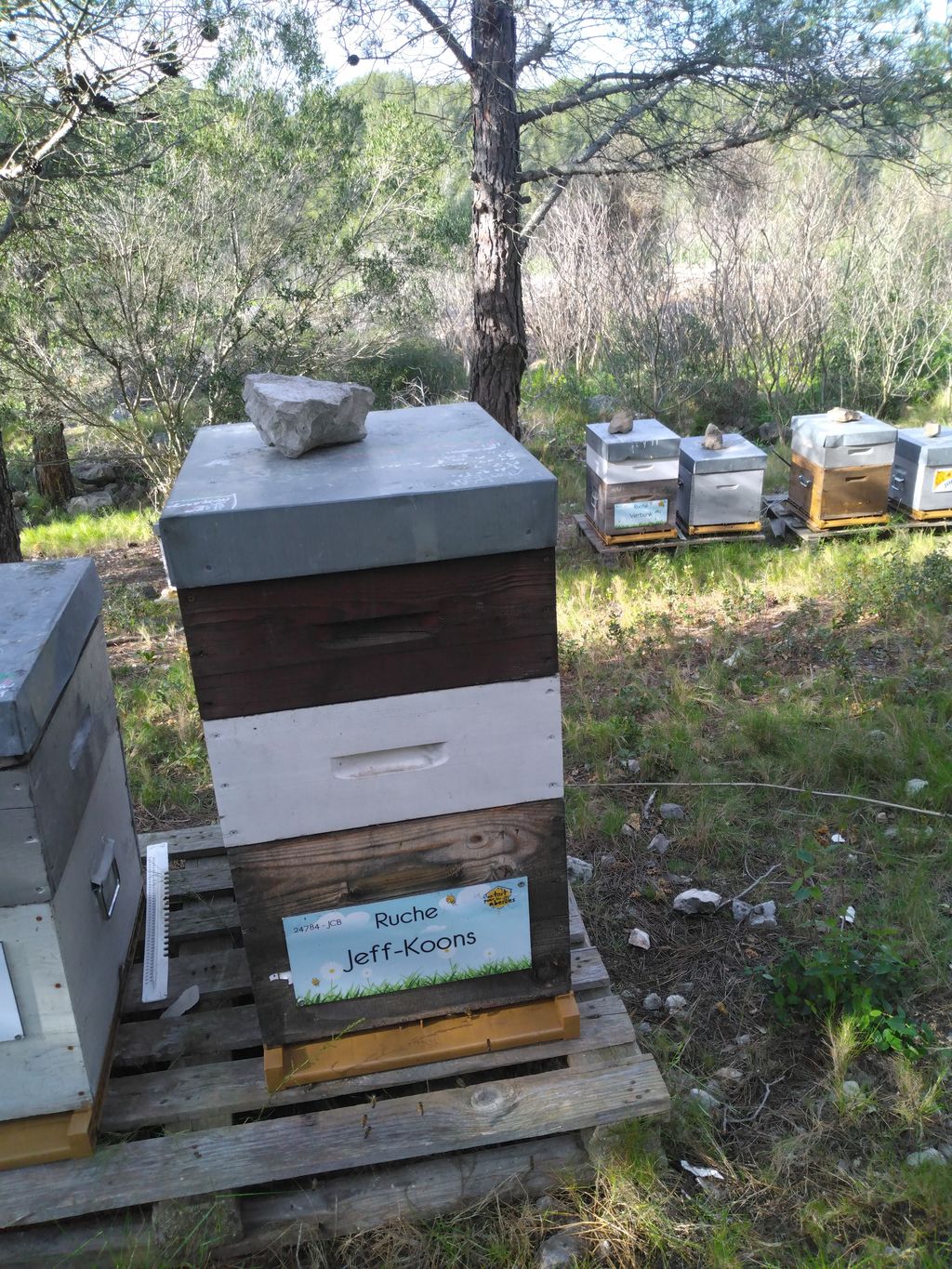 La ruche Jeff-Koons