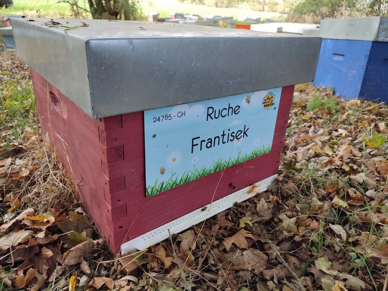La ruche Frantisek