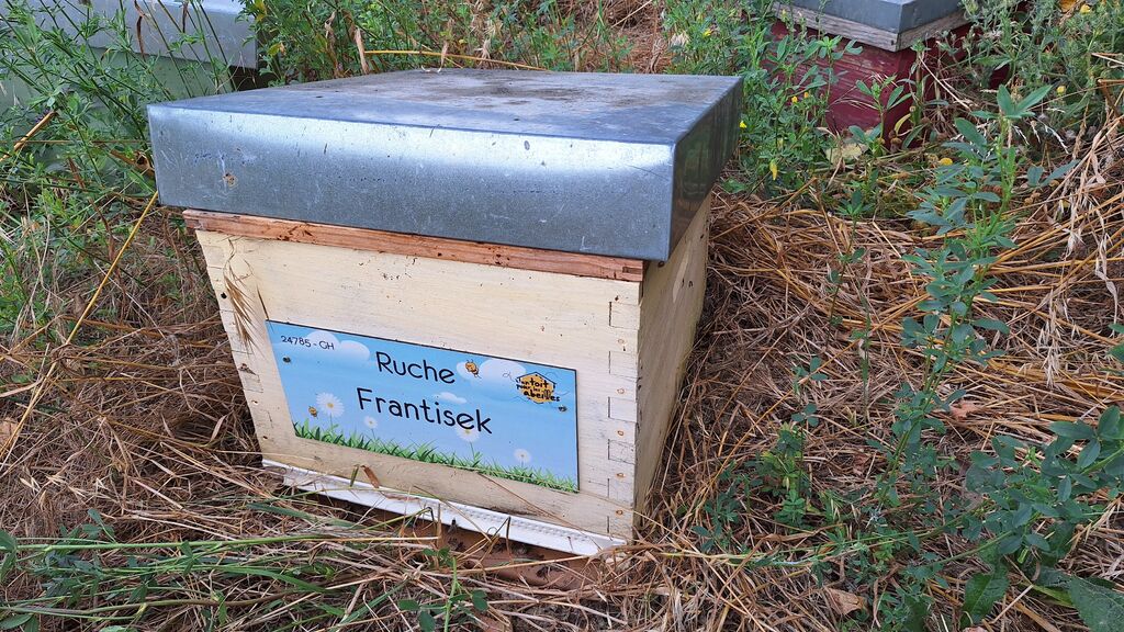 La ruche Frantisek