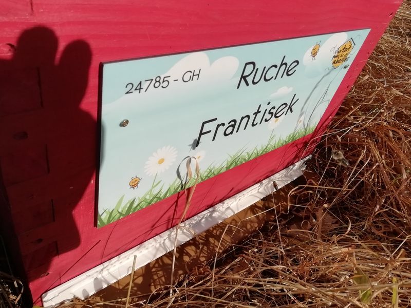 La ruche Frantisek