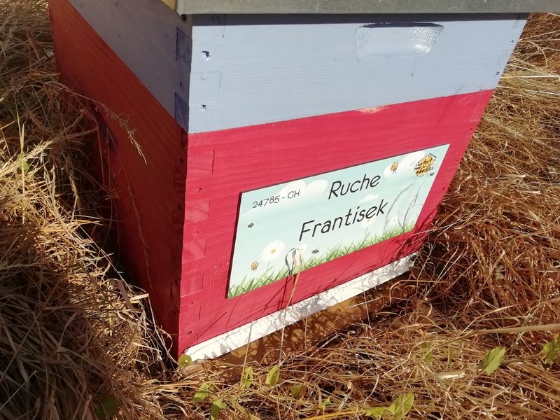 La ruche Frantisek