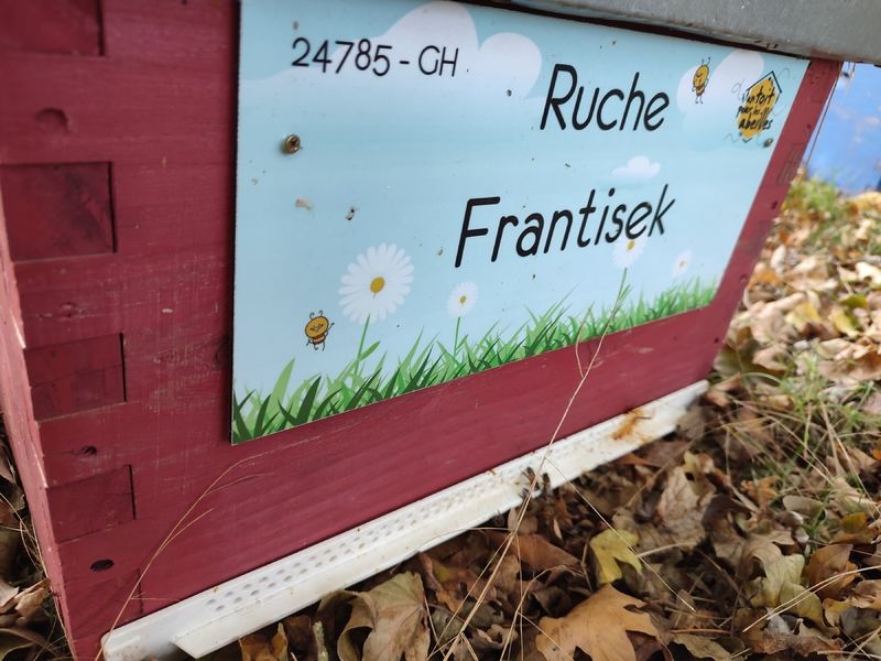 La ruche Frantisek