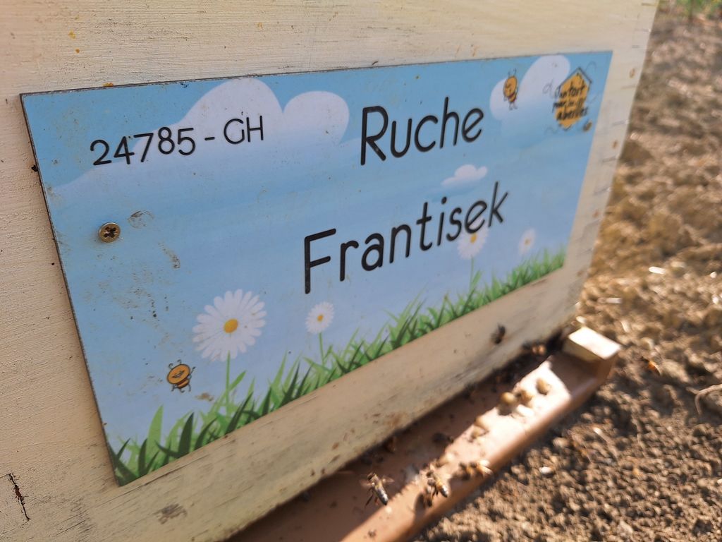 La ruche Frantisek