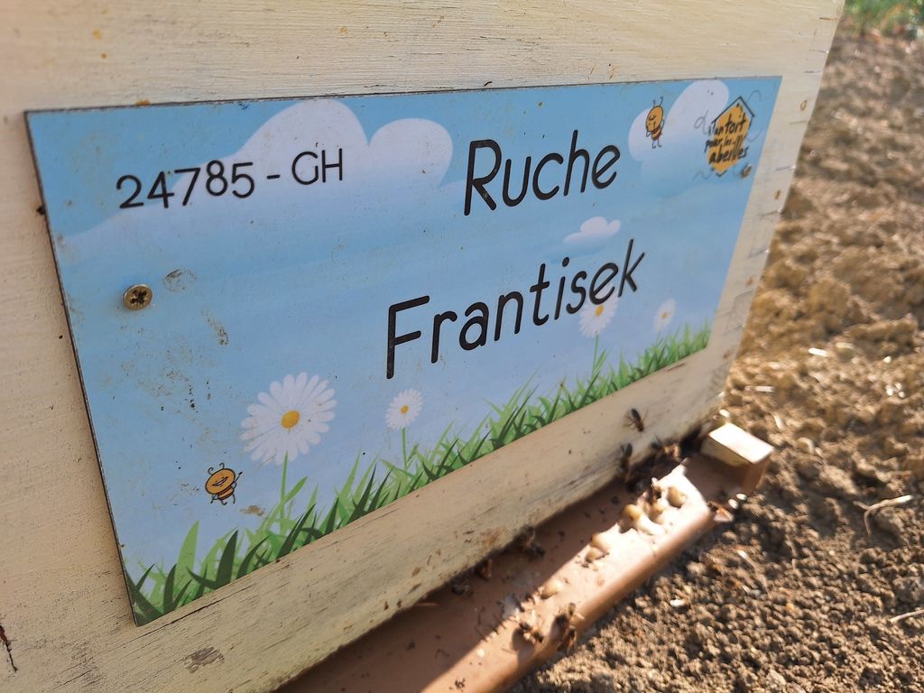 La ruche Frantisek
