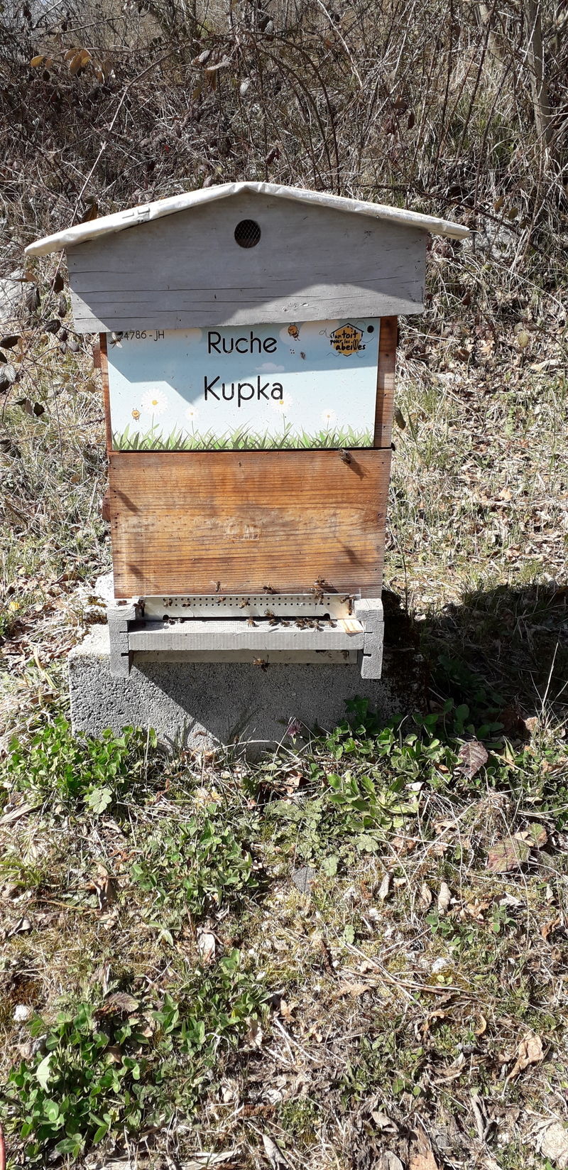 La ruche Kupka
