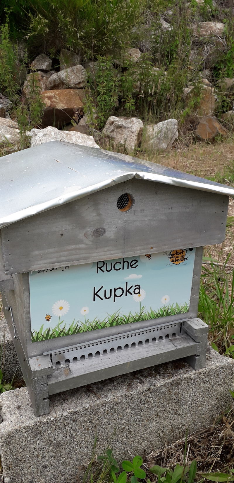 La ruche