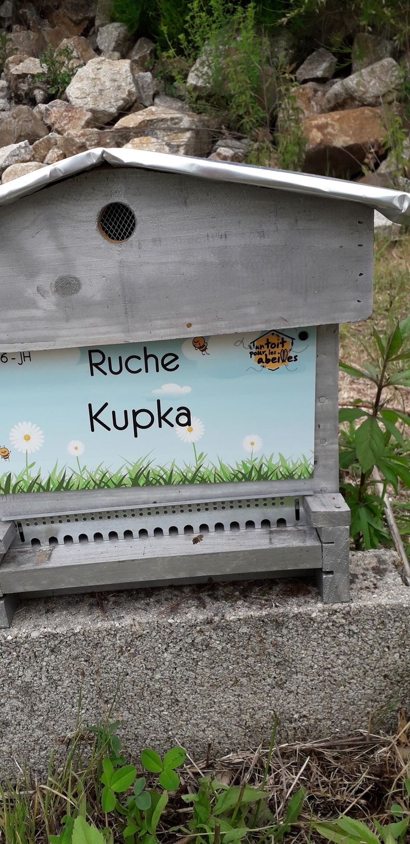 La ruche Kupka