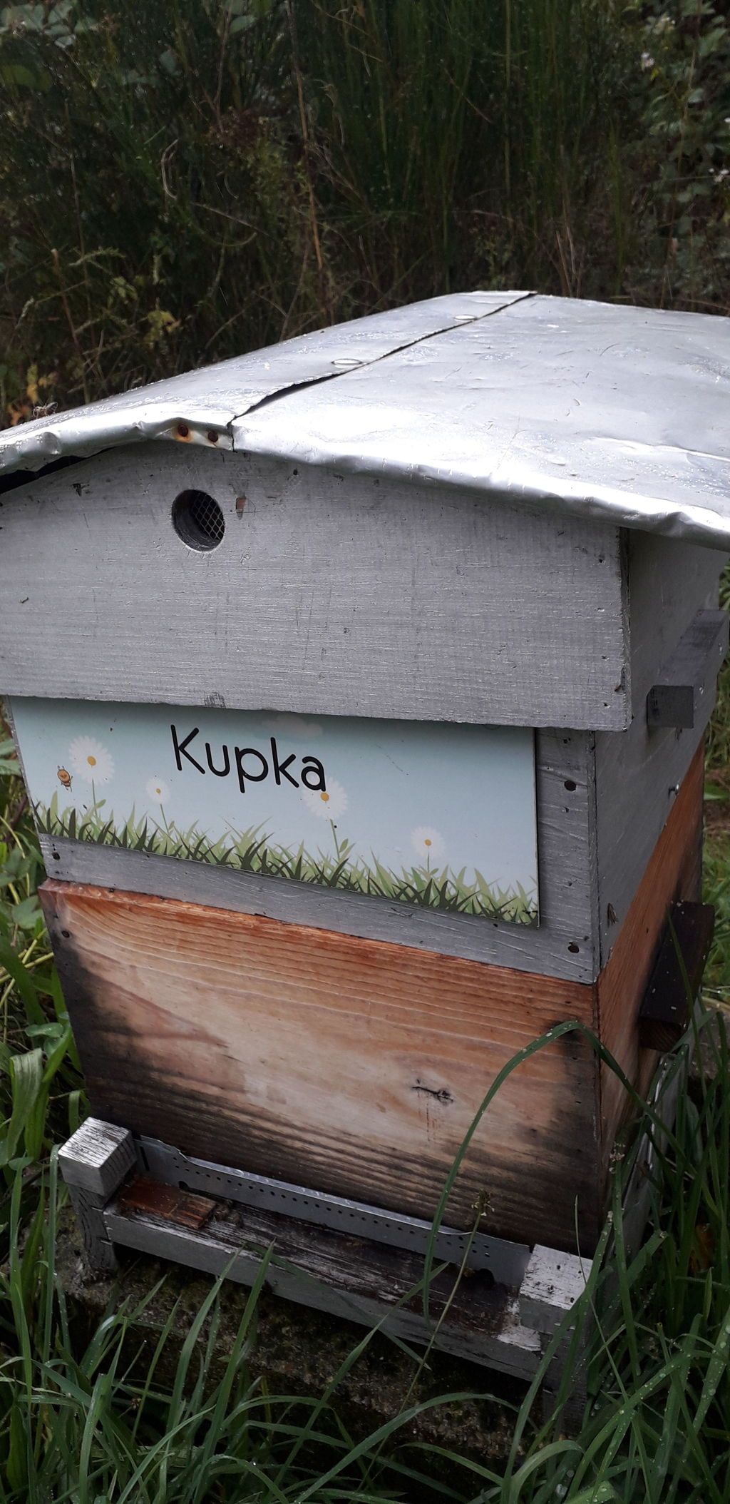 La ruche Kupka