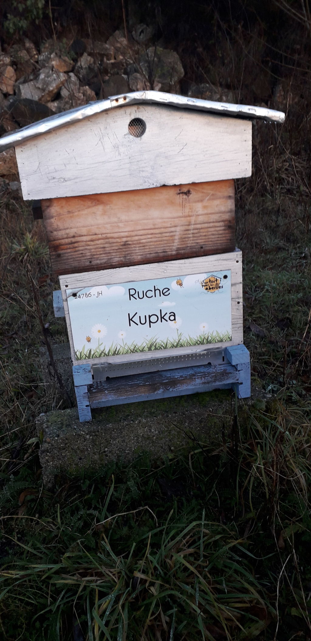 La ruche Kupka