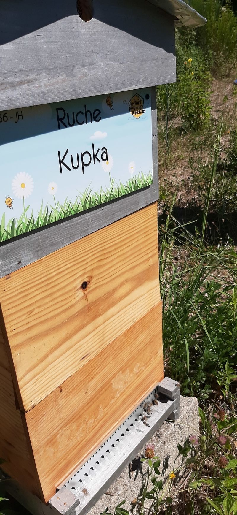 La ruche Kupka