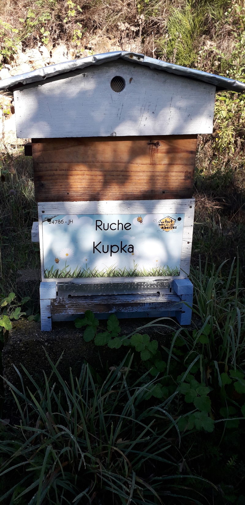 La ruche Kupka