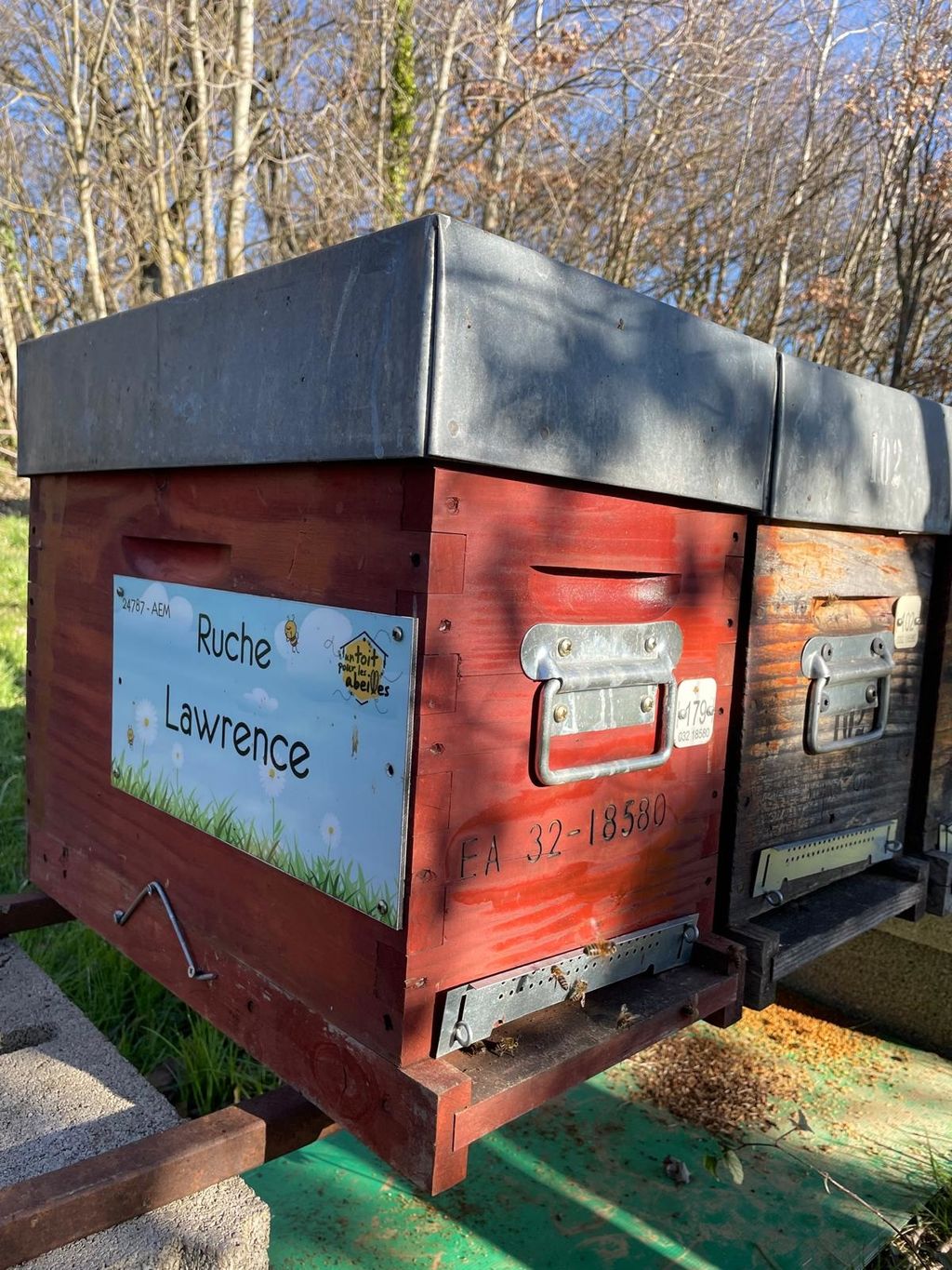 La ruche Lawrence