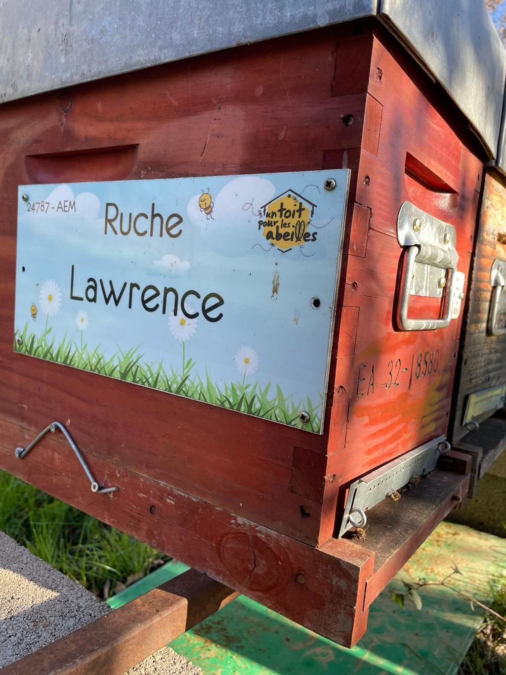 La ruche Lawrence