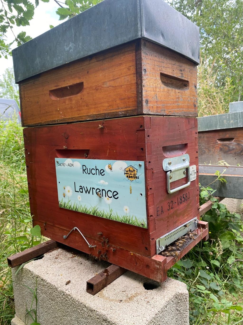 La ruche Lawrence