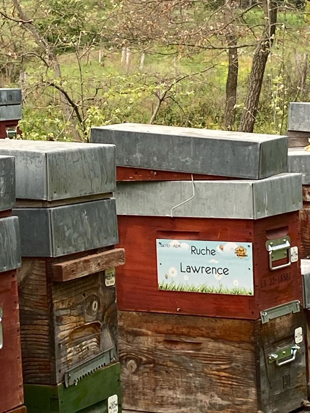 La ruche Lawrence