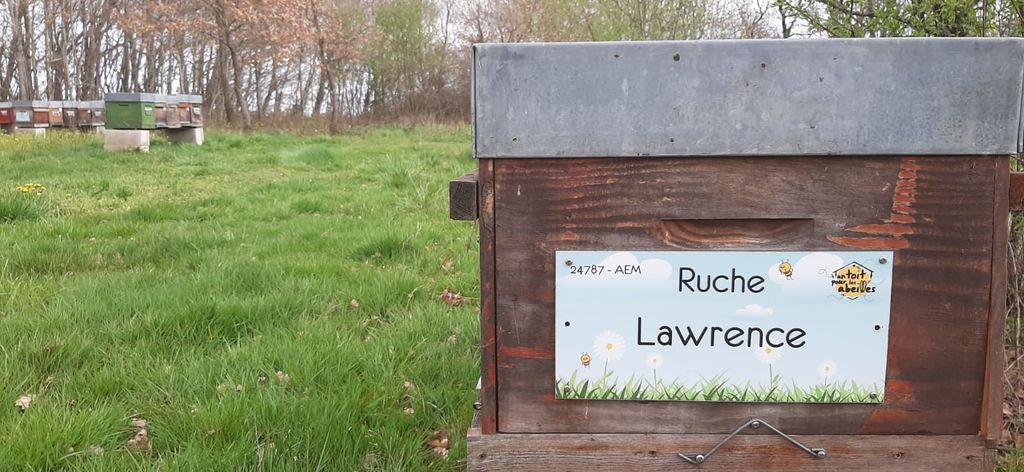 La ruche