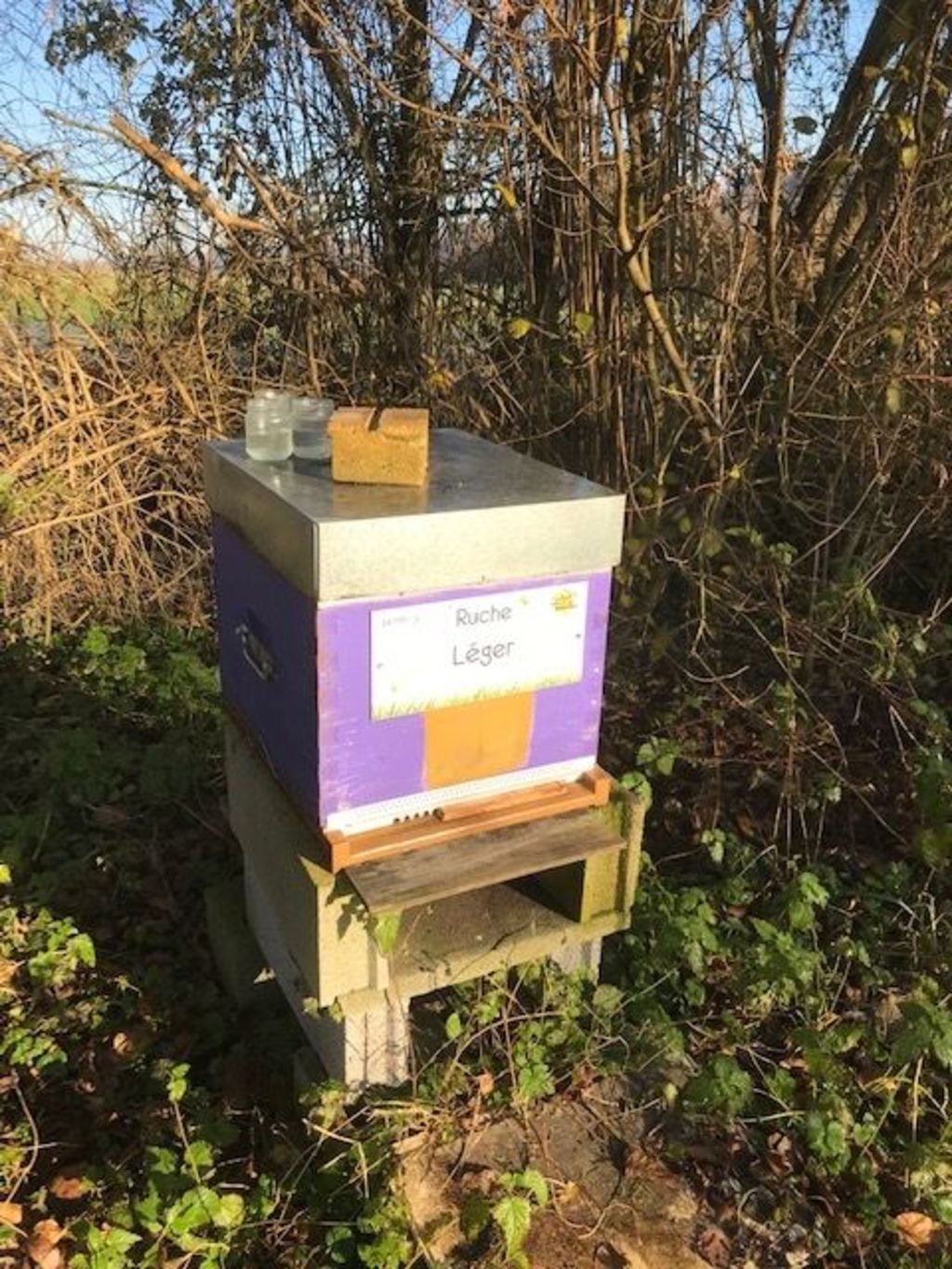 La ruche Léger
