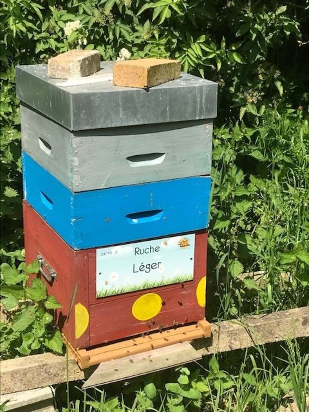La ruche Léger