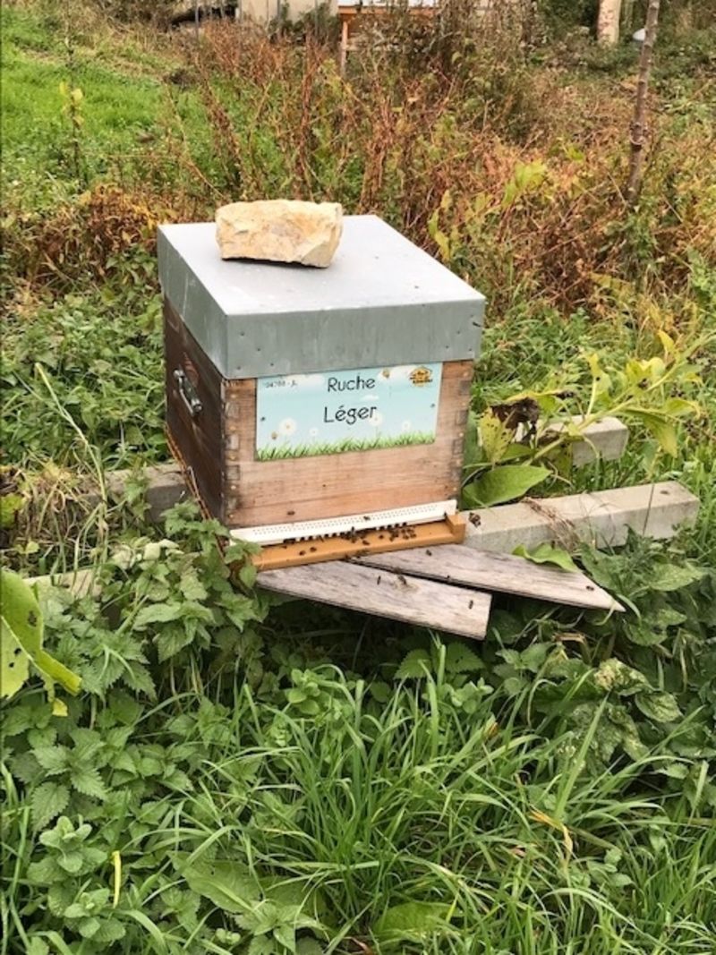 La ruche Léger