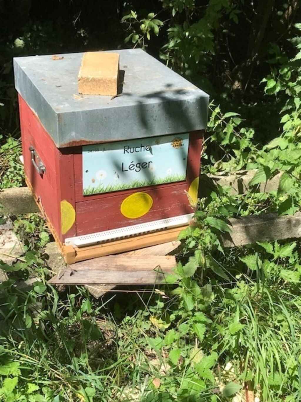 La ruche Léger