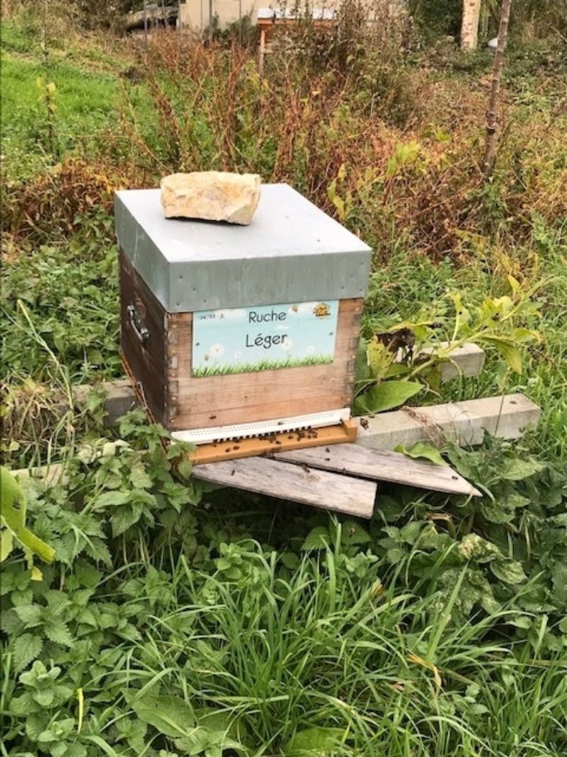 La ruche Léger