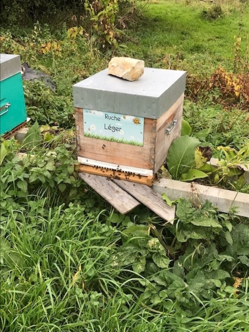 La ruche Léger