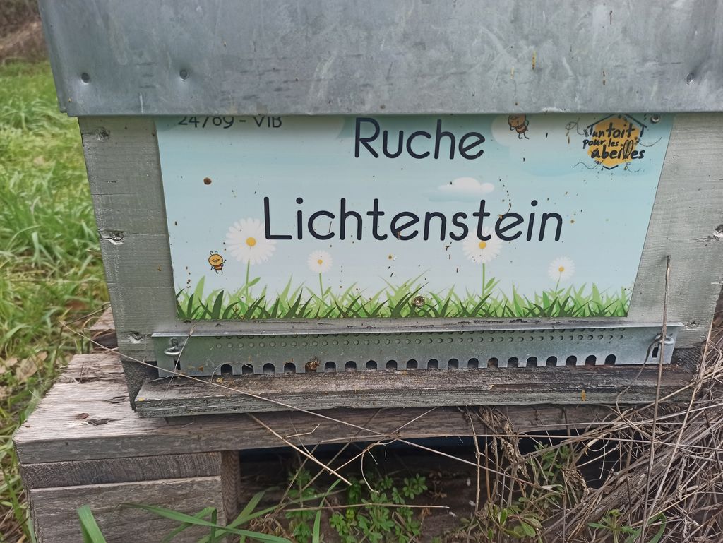 La ruche Lichtenstein