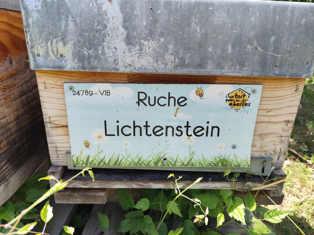 La ruche Lichtenstein