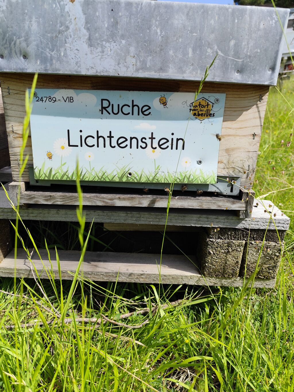La ruche Lichtenstein