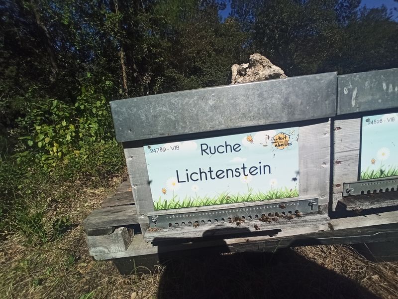 La ruche Lichtenstein