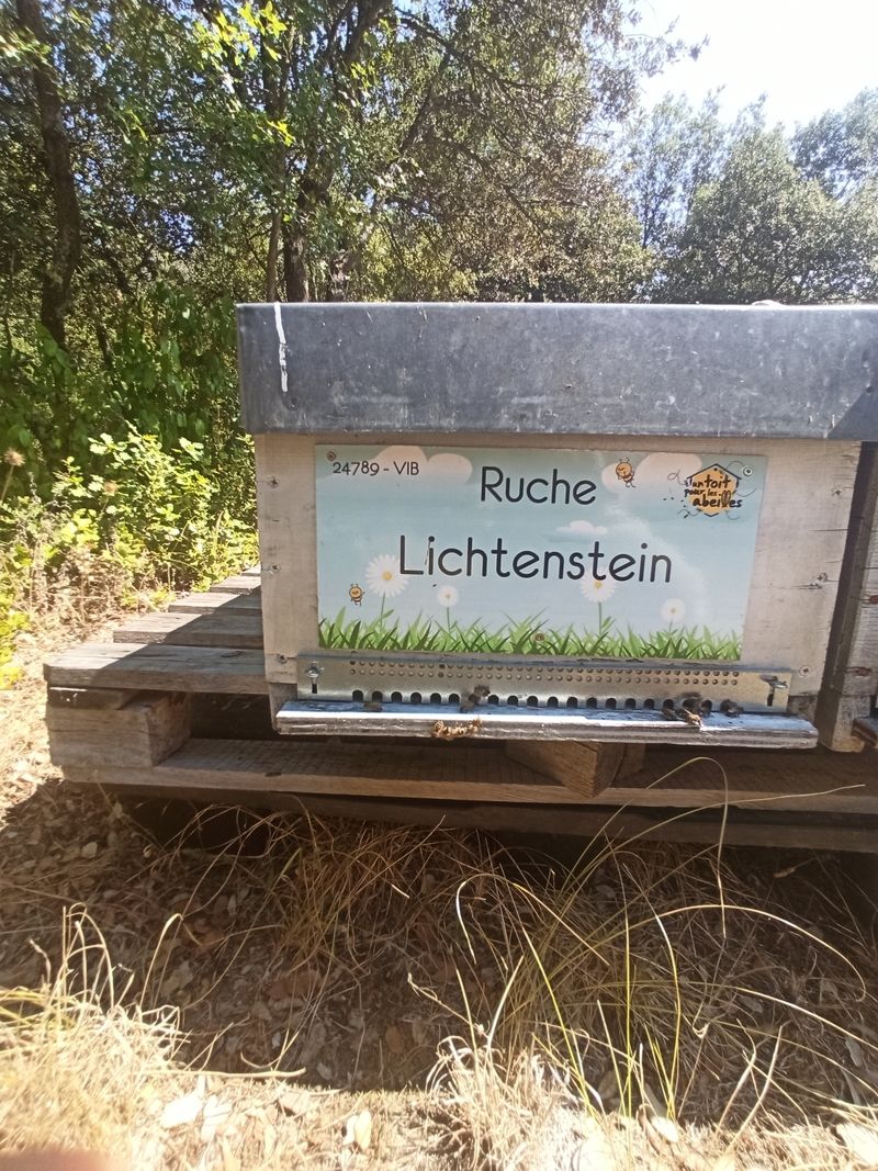 La ruche Lichtenstein