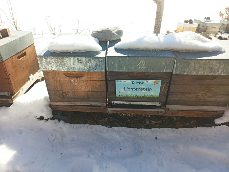 La ruche Lichtenstein