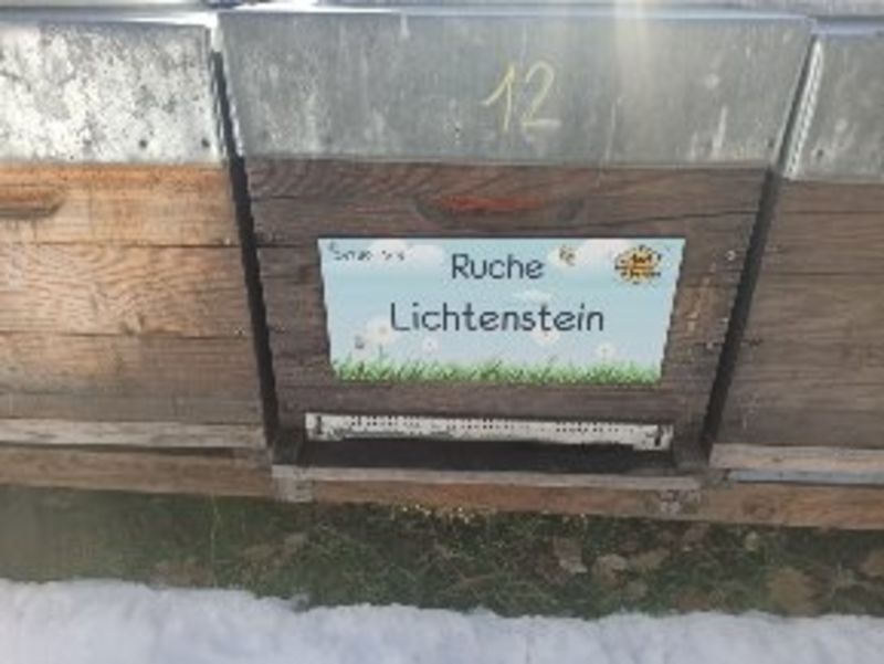La ruche Lichtenstein