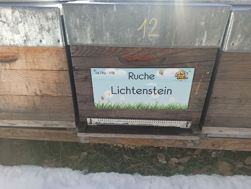 La ruche Lichtenstein