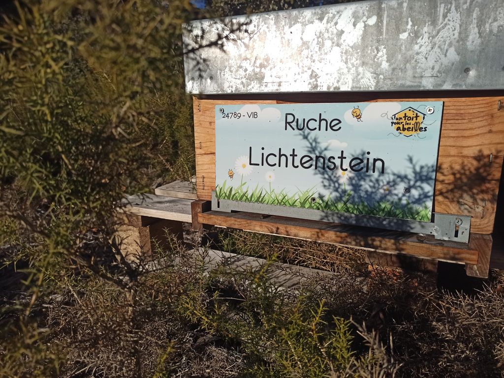 La ruche Lichtenstein