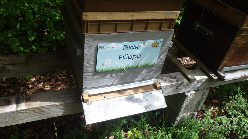 La ruche