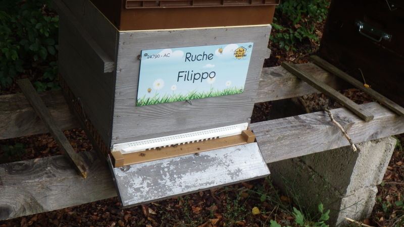 La ruche
