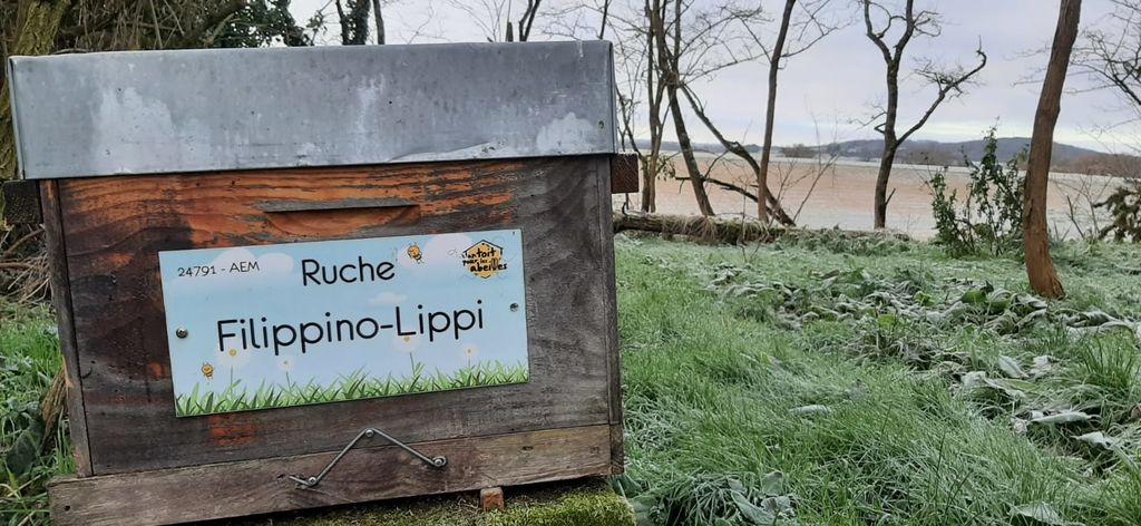 La ruche Filippino-Lippi