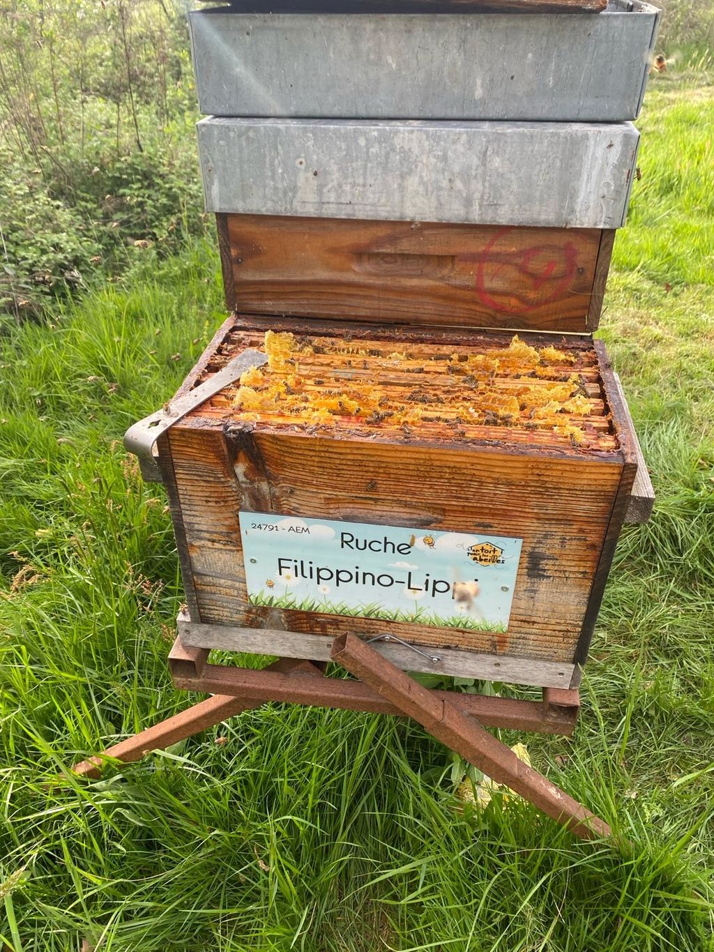 La ruche Filippino-Lippi