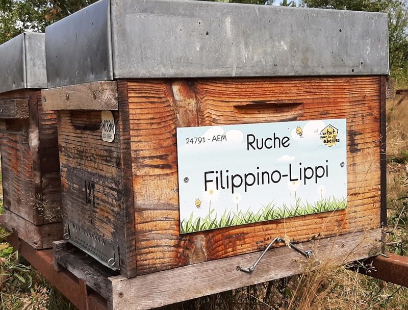 La ruche Filippino-Lippi